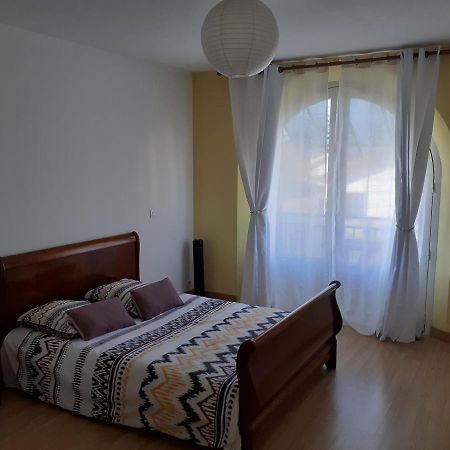 Appartement Spacieux Et Lumineux Oloron-Sainte-Marie Exterior foto
